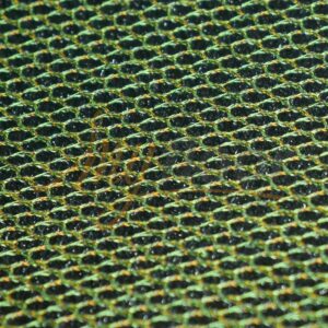 Comfot Mat Çerçeveli Çamur ve Kir Sıyırıcı Kapı Önü Paspası Yeşil