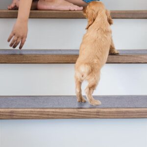 Halifleks Yapışkan Tabanlı Merdiven Basamak Paspası Rip Halı Kaymaz Tabanlı / Adet Olarak Satılır