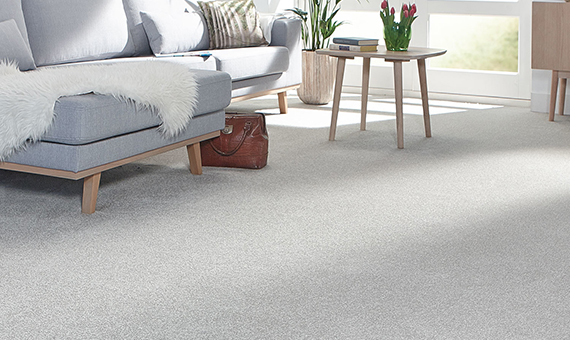 Duvardan Duvara Halılar