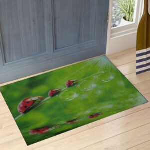 Uğur Böcekleri Desenli Çift Taraflı Kauçuk Kapı Önü Paspası